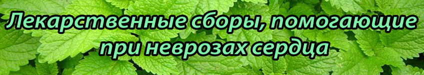Лекарственные травы при неврозах сердца